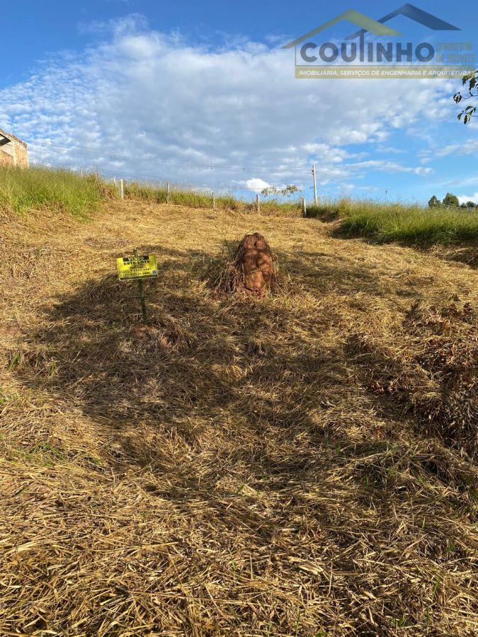 WhatsApp Image 2025-06-09 at 16.19.38 (6).jpeg